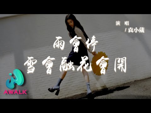 袁小葳 - 雨會停雪會融花會開『雨會停雪會融花會開，但時間卻把愛都掩埋。』【動態歌詞 | Pinyin Lyrics】【AWALK MUSIC】