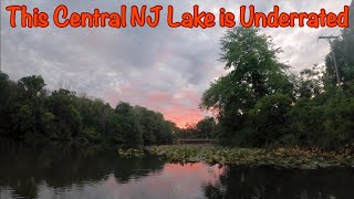 These Central New Jersey Fish are Super Aggressive screenshot 4