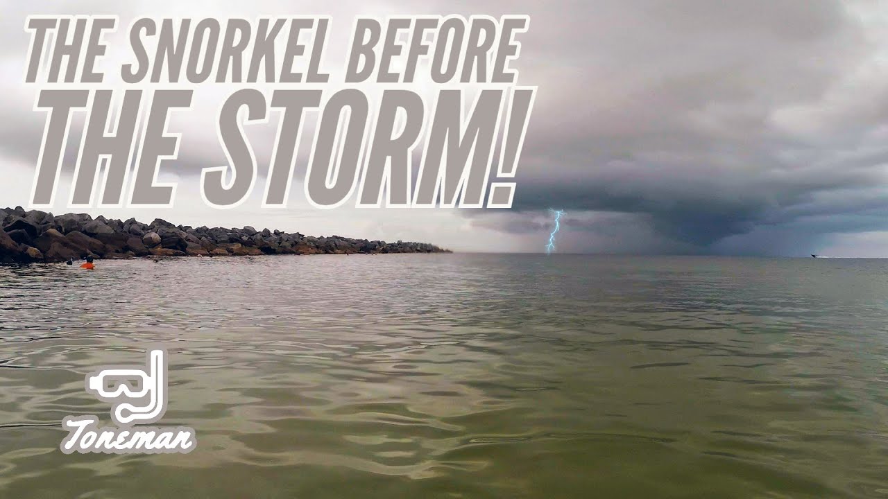 Snorkeling at St Andrews State Park | Moray Eel and More!!