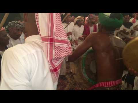 معشى عمر سفياني 31 يوليو 2017