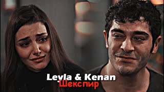 Leyla & Kenan - Шекспир