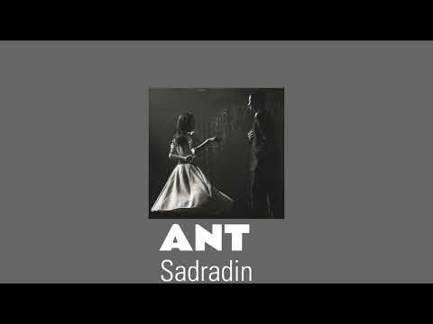 Sadraddin-ANT|Текст в описании 👇🏻