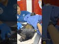 Baby Monkey is Pulled Away From Electrocuted Mother (Dead) #monkey #babyaninals #wildlife