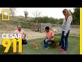 Facing Fears | Cesar 911