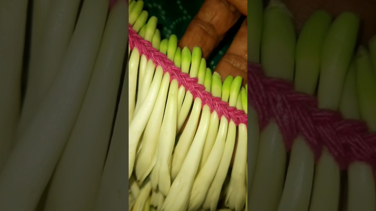 EASY Sampangi Poo Malai (Champak Flower Garland) 💐