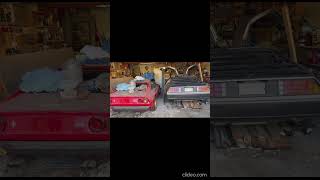 Due Ferrari 308 dimenticate per 30 anni riemergono come un tesoro #stellantis