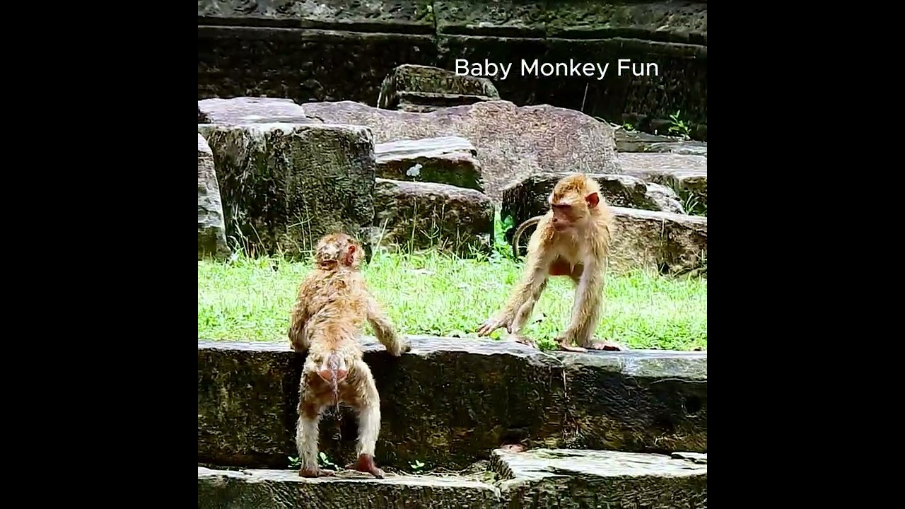 how happy sovana team in this pond while Amber not here.