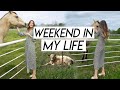WEEKEND IN MY LIFE | honest social media thoughts, starting to sabbath, & a restful easter!
