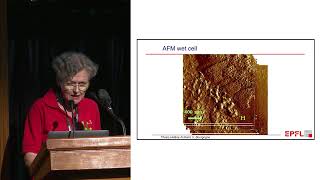 Hydration of Limestone Calcined Clay Cement - Prof. Karen Scrivener