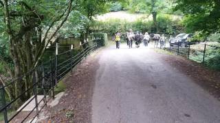 A VOICE FOR THE PONIES WALK 24th SEPT 2016