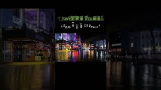 2035 去台湾 DJRemix-TJNY全网最火DJ舞曲