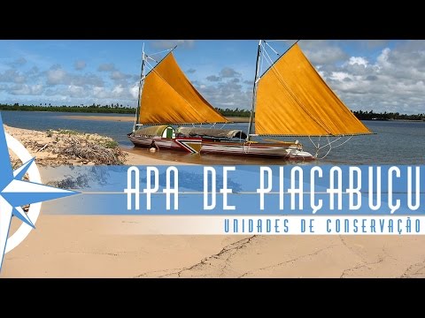 Área de Proteção Ambiental de Piaçabuçú - Episódio 36