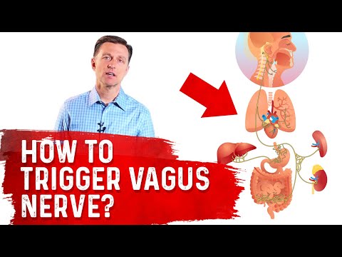 How To Trigger Vagus Nerve? – Dr.Berg