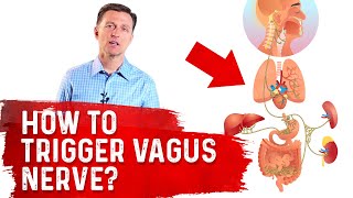 How To Trigger Vagus Nerve? – Dr. Berg