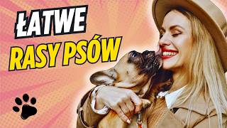 TOP 10 BEST DOG BREEDS FOR BEGINNERS