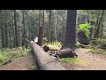 Hike on the Indian Beach Trail- Cannon Beach, Oregon