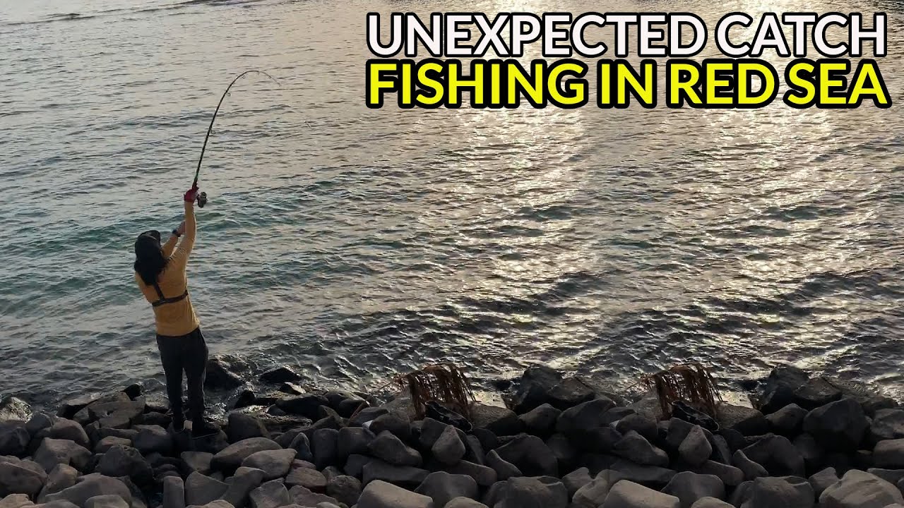 EP04 FISHING in Red Sea Saudi Arabia UNEXPECTED CATCH New