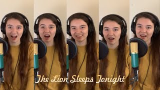 The Lion Sleeps Tonight | A Cappella Cover