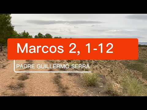 ✴️ EVANGELIO del DÍA 13 de ENERO con el PADRE GUILLERMO SERRA 📌 MARCOS 2 1-12