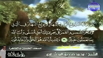 تلاوة نادرة للشيخ محمد صديق المنشاوى ما تيسر من سورتى لقمان والسجدة - محمد الشرقاوي