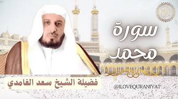 الشيخ سعد الغامدي - سورة محمد  | Sheikh Saad Al Ghamdi - Surat Muhammad