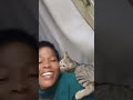 Fun time with Joy #cats #catlover #catvideos #shortvideo #funny #shorts