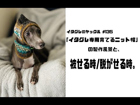 cc様 おまとめ　犬用帽子　被り物　ニット帽　犬用服　イタグレ服　ハンドメイド イタグレ服アラン風ニットのあったか帽子 - ERIKA'S GALLERY