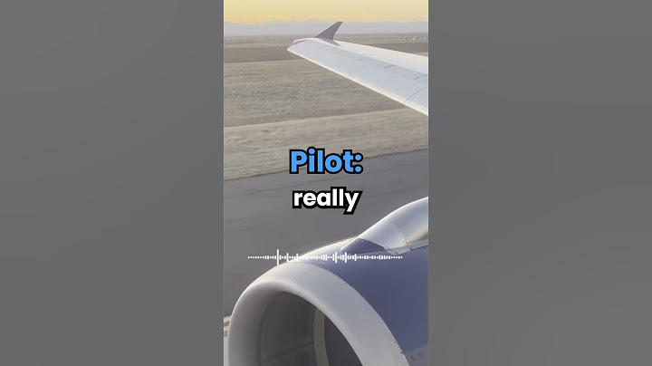 Funniest Response To A Pilot 😂