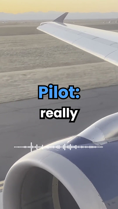 Funniest Response To A Pilot 😂