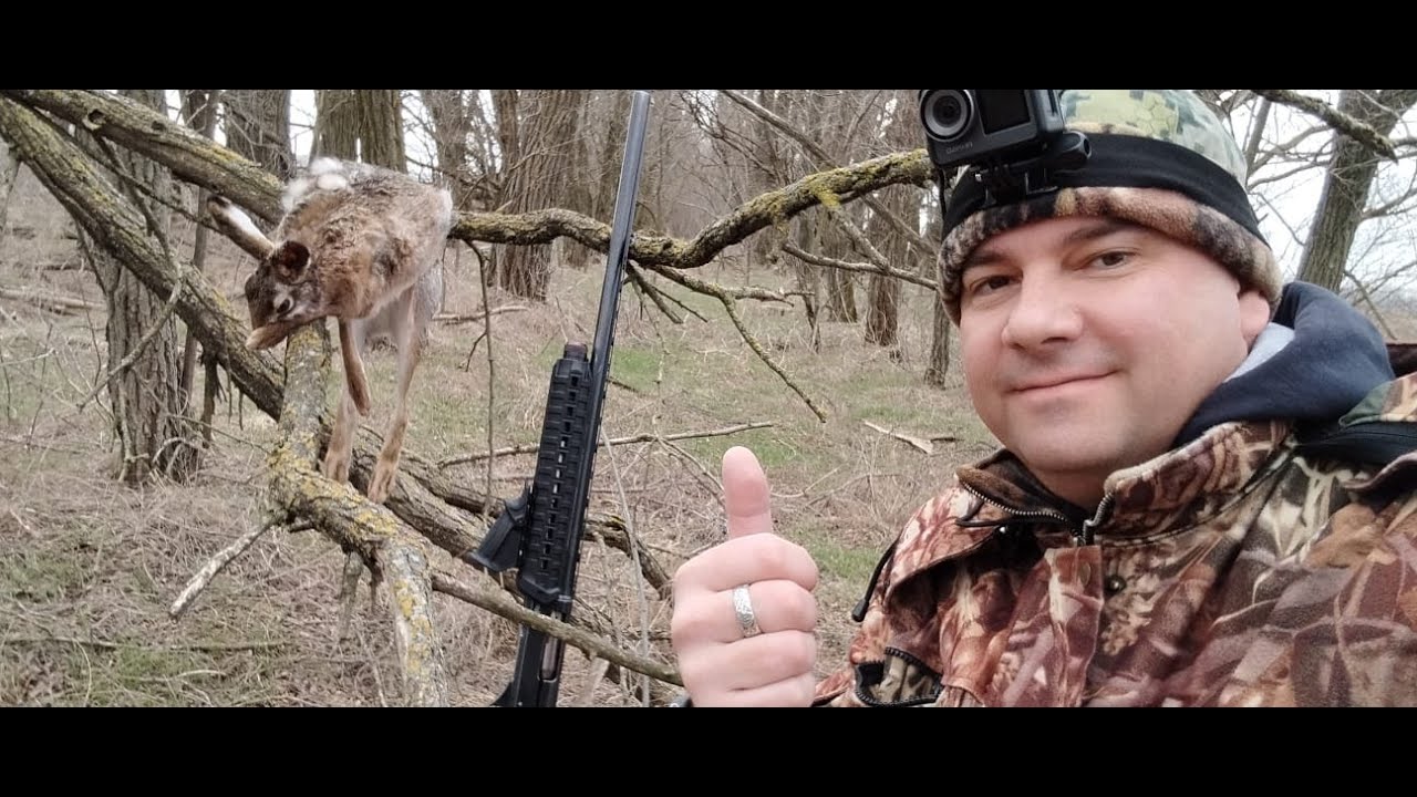 У косого сдали нервы - охота на зайца - YouTube
