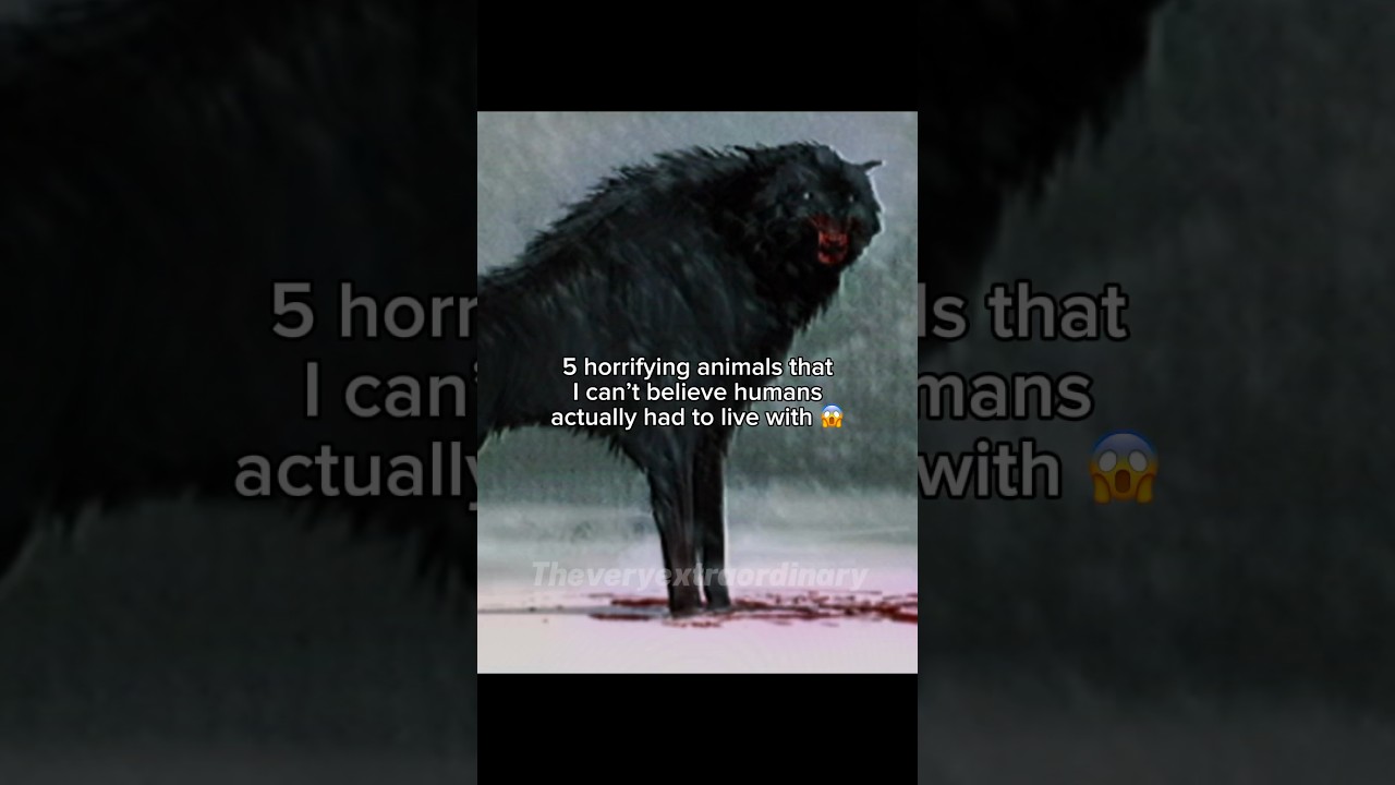 5 horrifying animals that humans had to live with #prehistoric #extinct #dinopithecus #iceage #bear