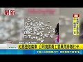 颱風、地震與極端天氣災情