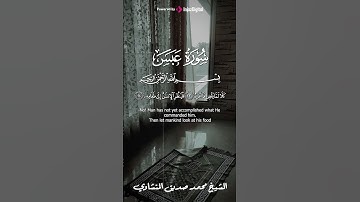 الشيخ محمد صديق المنشاوي | سورة عبس #المنشاوي #explore  #اكسبلور #لايك #تيك_توك