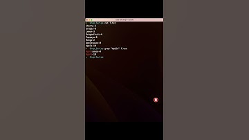grep command with  w flag