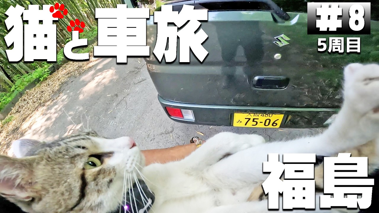 【#5-8】山形の無料キャンプ場、古竜湖キャンプ場→福島、峠の森自然公園 林間広場に泊まります！【猫と車中泊&キャンプ旅】