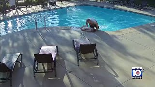 Neighbor rescues boy with autism who jumped in pool