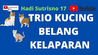 21 Desember 2021  TRIO KUCING BELANG  #hadisutrisno17 kucingbelang#trio#