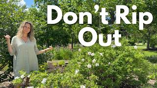 Inherited a Garden? Here’s What to Do First
