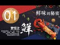 《鲜味的秘密》01：鲜味国度