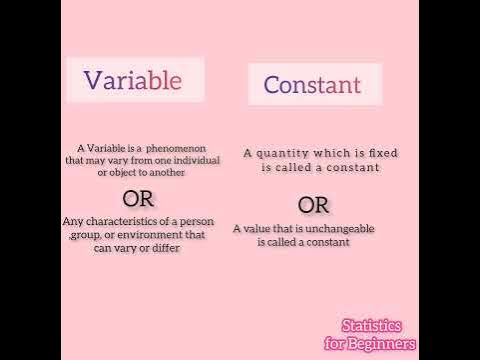 Difference between variable and constant ️ - YouTube