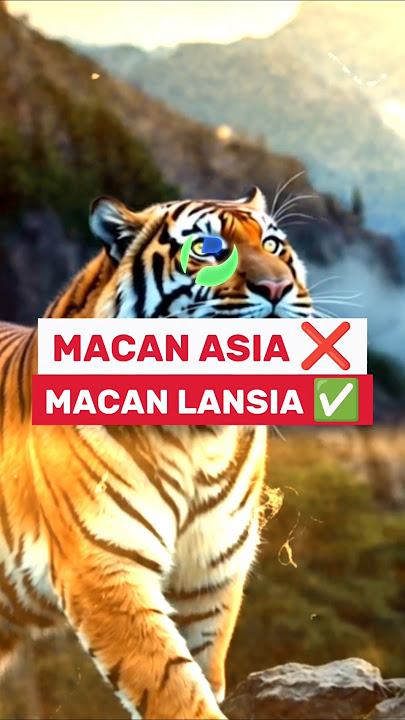 Macan Asia ❌ Macan Lansia ✅ #tarifimpor0persen #pamansam #donaldtrump #prabowo #tarifmasuk19%