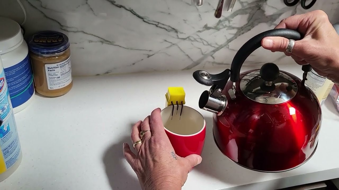 Product Review: Lily's Home 2 Quart Stainless Steel Whistling Tea Kettle