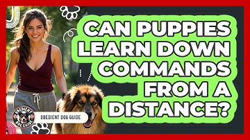Can Puppies Learn Down Commands From A Distance? - Obedient Dog Guide