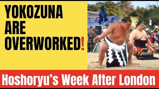 What Does a Yokozuna Really Do? Hoshoryu’s Post-London Schedule Explained