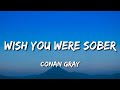 Conan Gray Wish You Were Sober Lyrics Trade Drinks But You Don T Even Know Her Tiktok Song