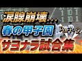 【劇的決着】春の甲子園サヨナラ試合集パート2 2016-1018