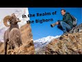 WILDLIFE PHOTOGRAPHY - HIKING in search of BIGHORN SHEEP, Rams butting heads and MOUNTAINEERING