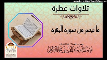 تلاوات عطرة ما تيسر من سورة البقرة بصوت #فضيلة_شيخنا_عبدالقادر_الصوملي_ - حفظه الله