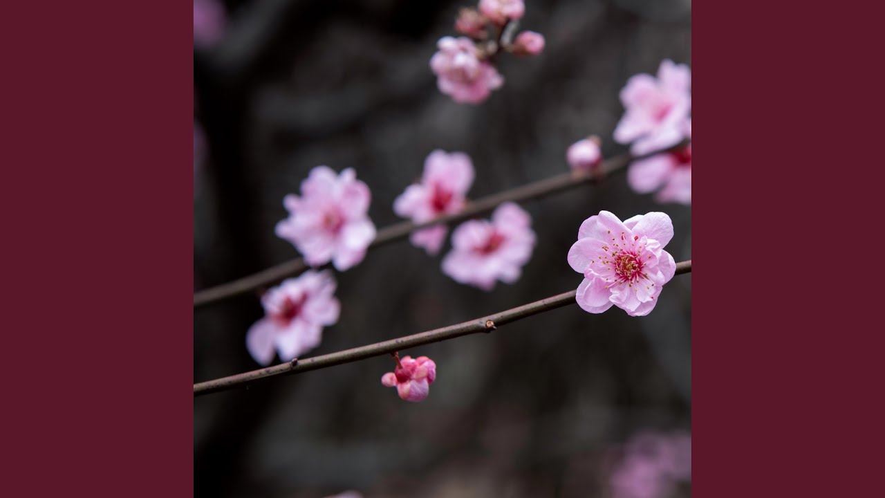 Treatment like me like im different