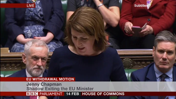 Shadow Brexit Minister Jenny Chapman at the EU Wit...